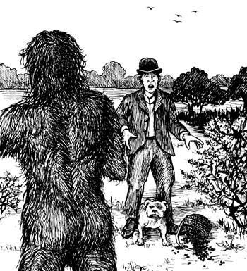 世界各地野人目击事件