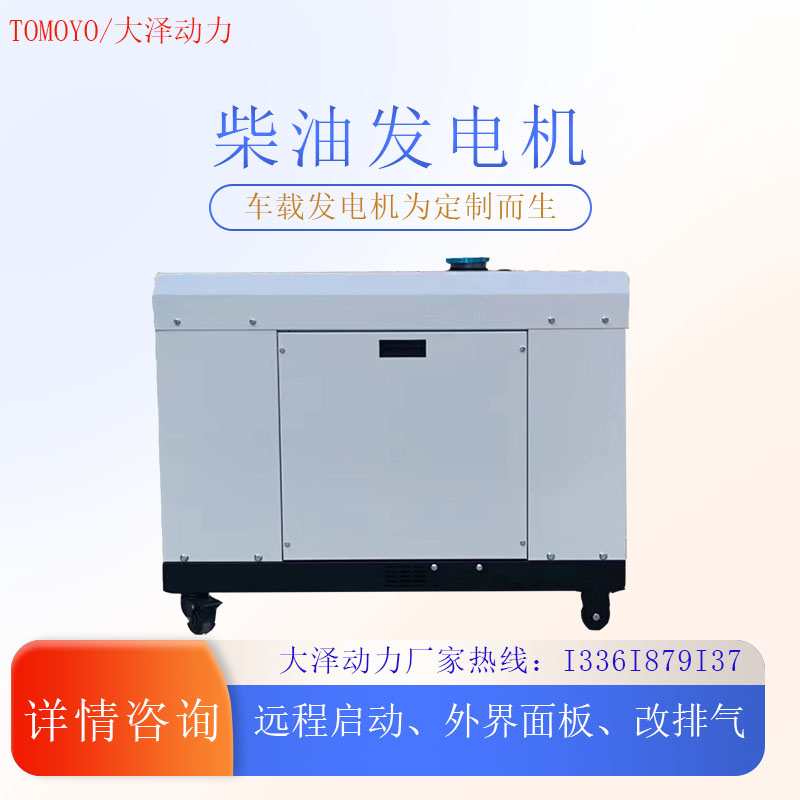 大泽动力小型8kw变频柴油发电机尺寸小重量轻toy9800is