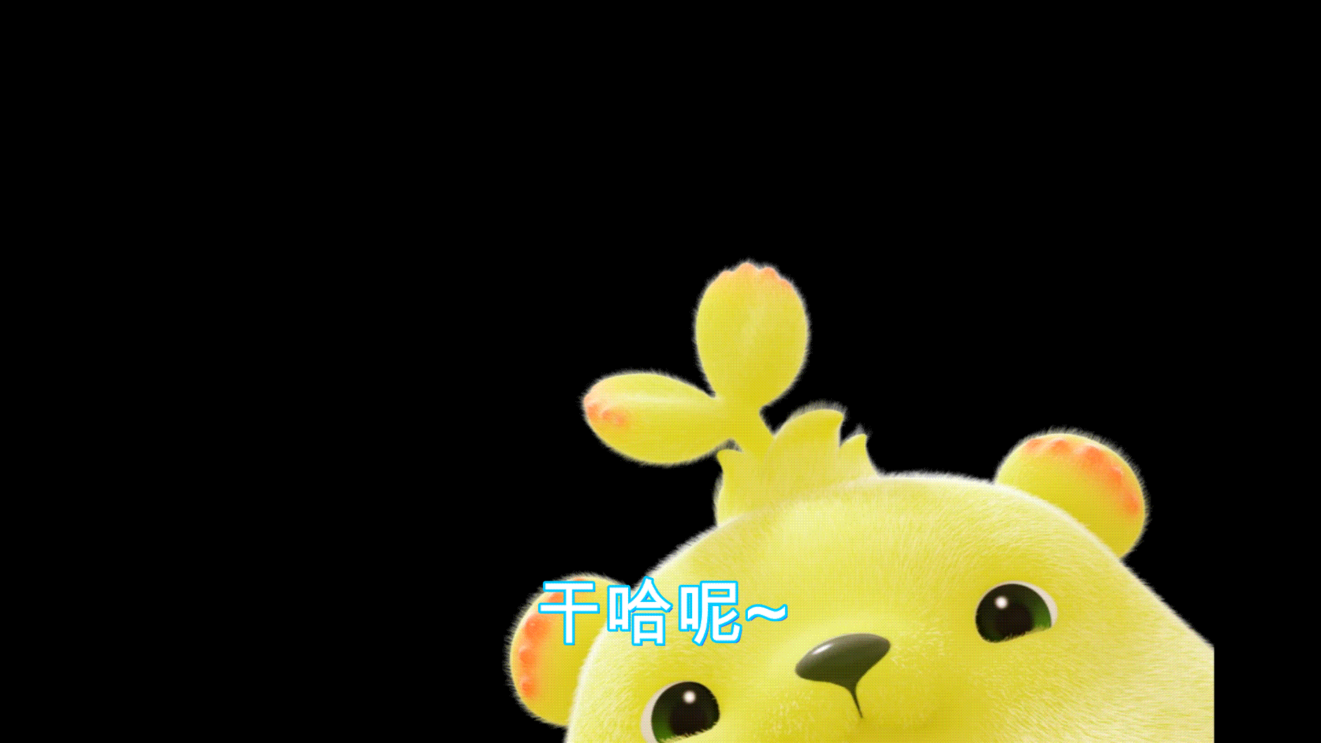 怎样将电脑里的视频转换为gif格式的动图?推荐一款视频转gif软件
