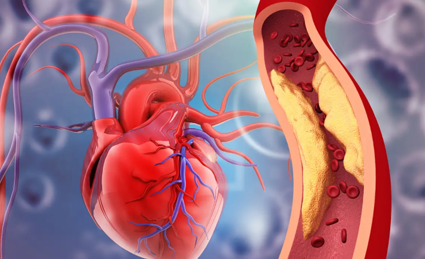 Propitocaine hydrochloride uses | Shaanxi BLOOM Tech Co., Ltd