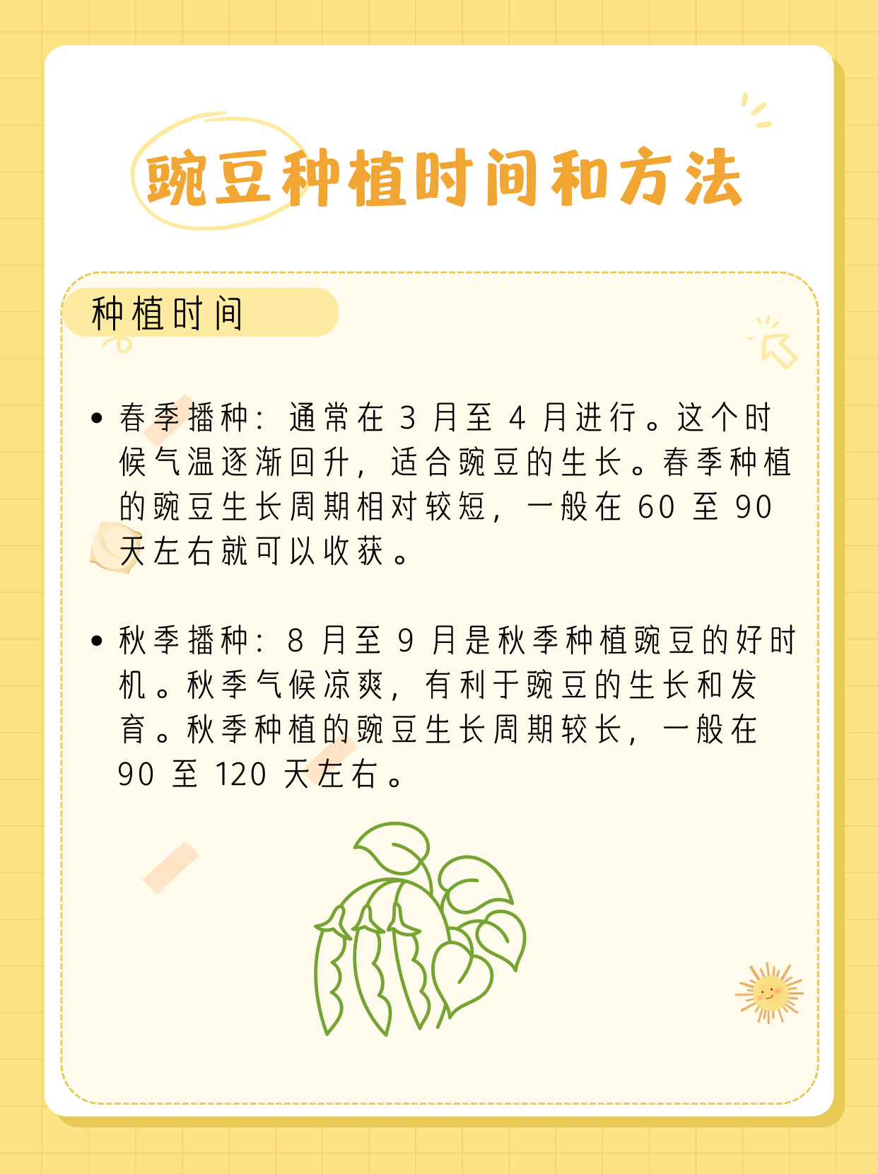 豌豆种植时间和方法