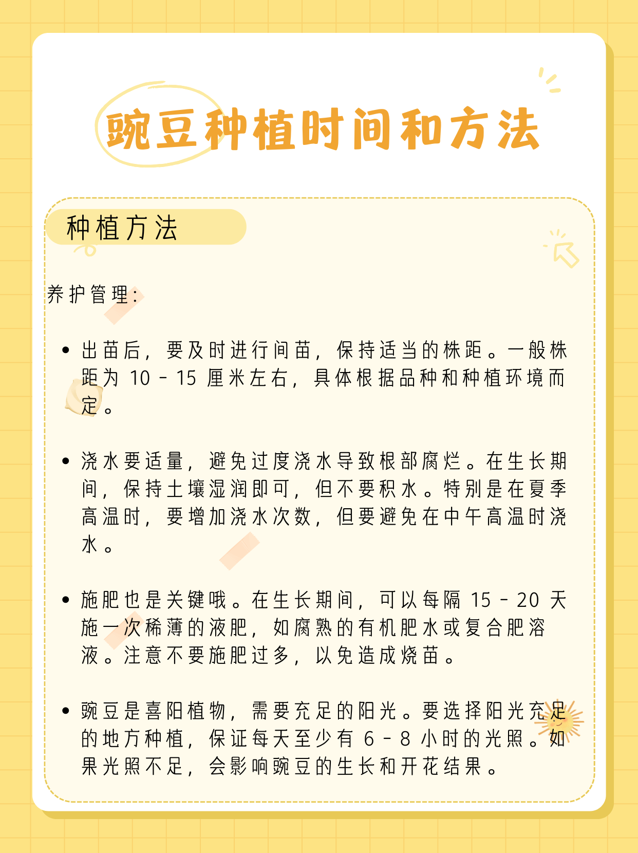 豌豆种植时间和方法