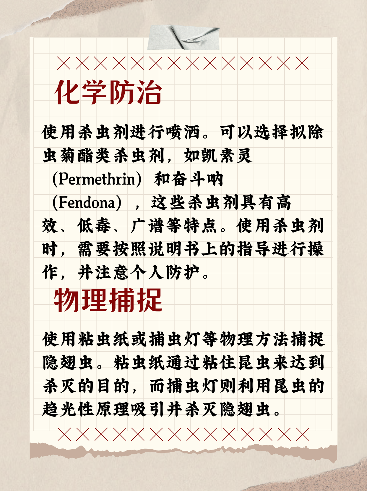 怎么消灭隐翅虫最有效