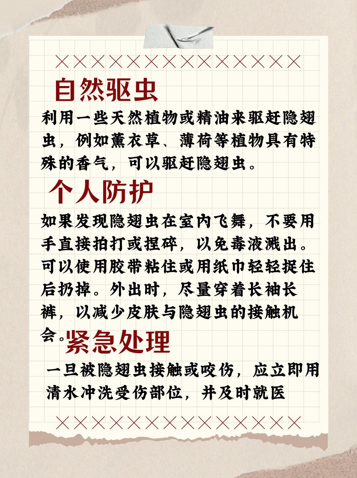 怎么消灭隐翅虫最有效