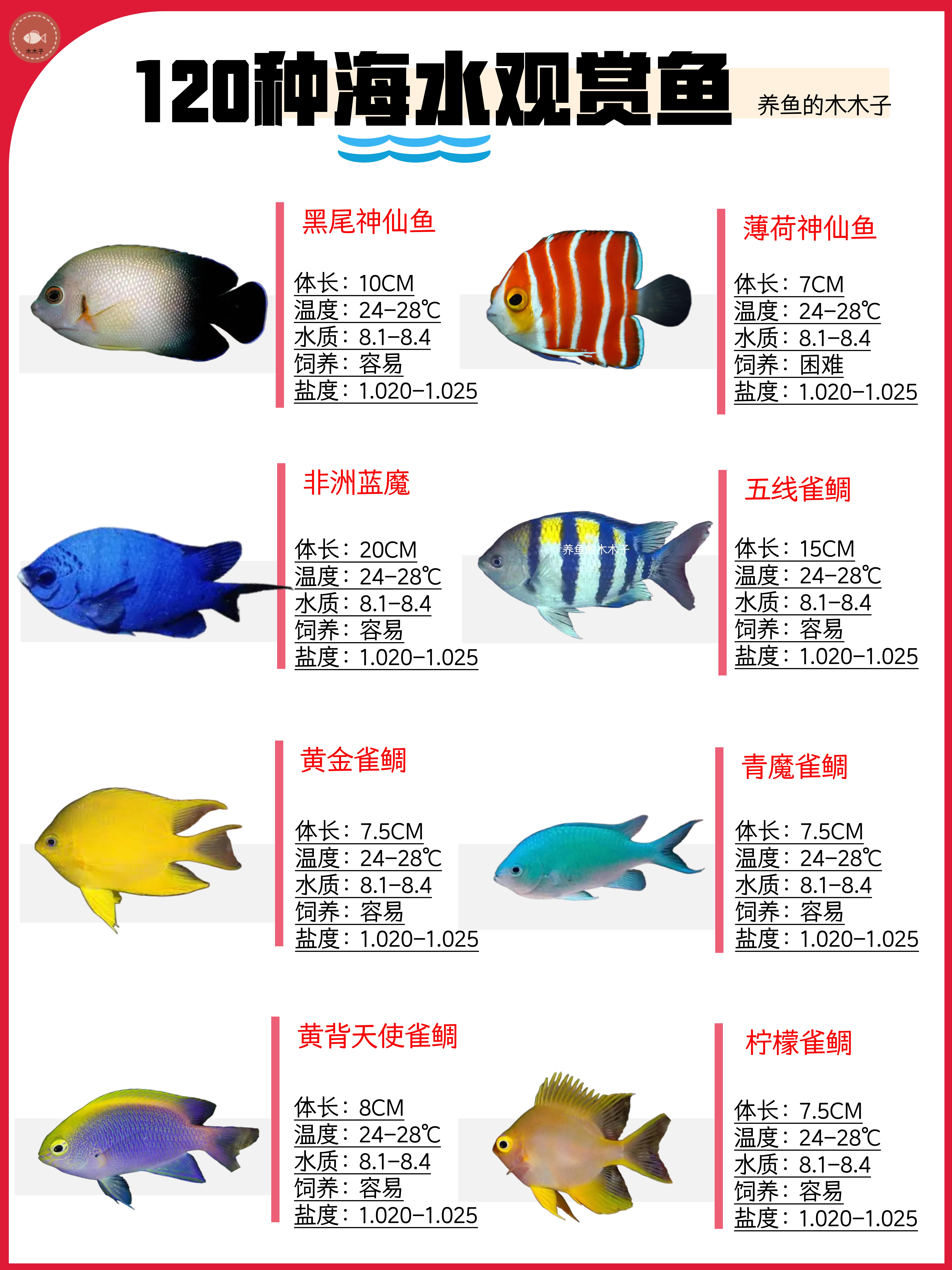 120种海水观赏鱼