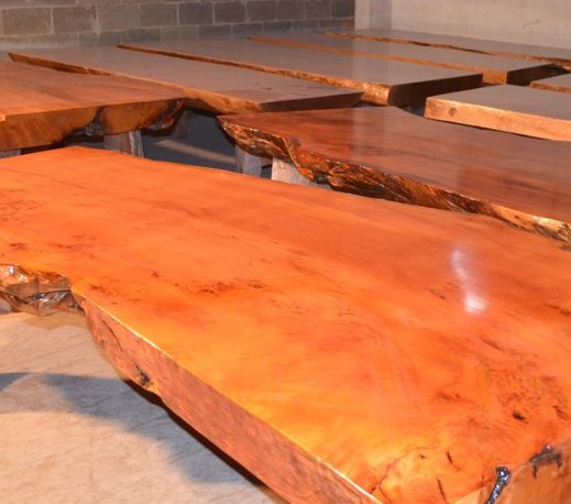 红豆杉木材有什么优缺点