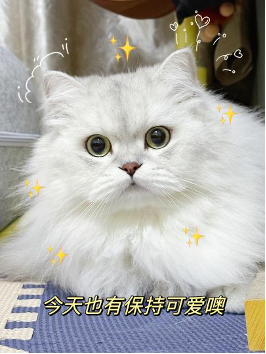 妙三多管用吗?硕腾妙三多怎么样?