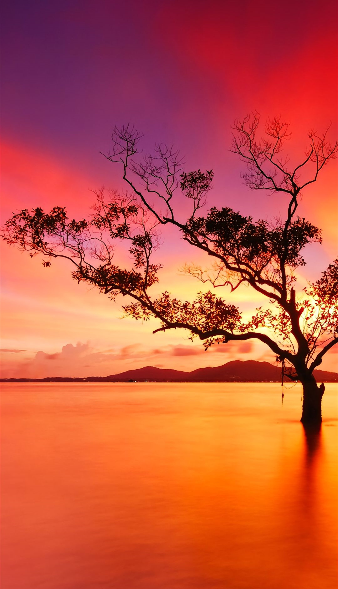 治愈系风景 一组夕阳西下的美景