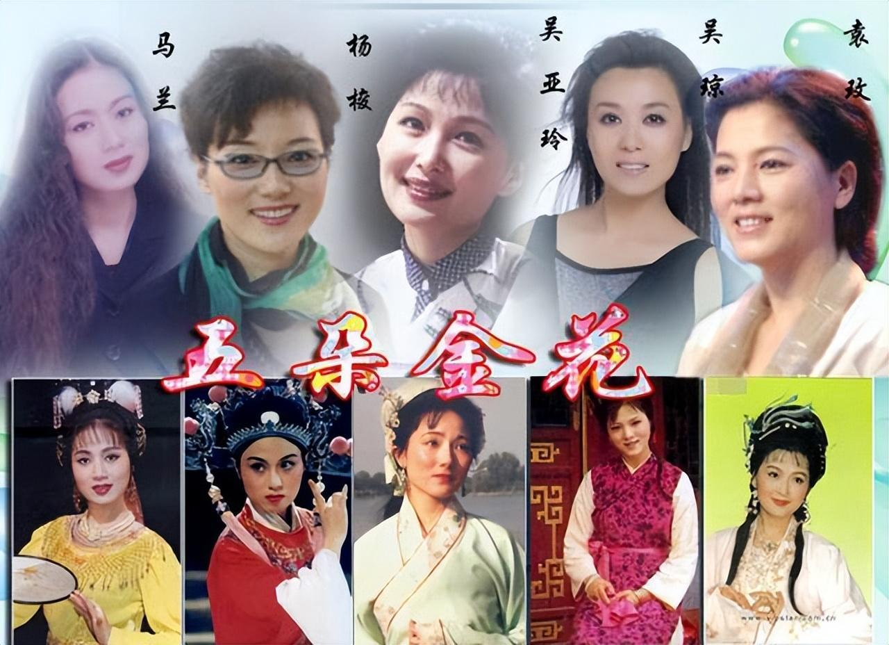 五朵金花的儿女演员表图片