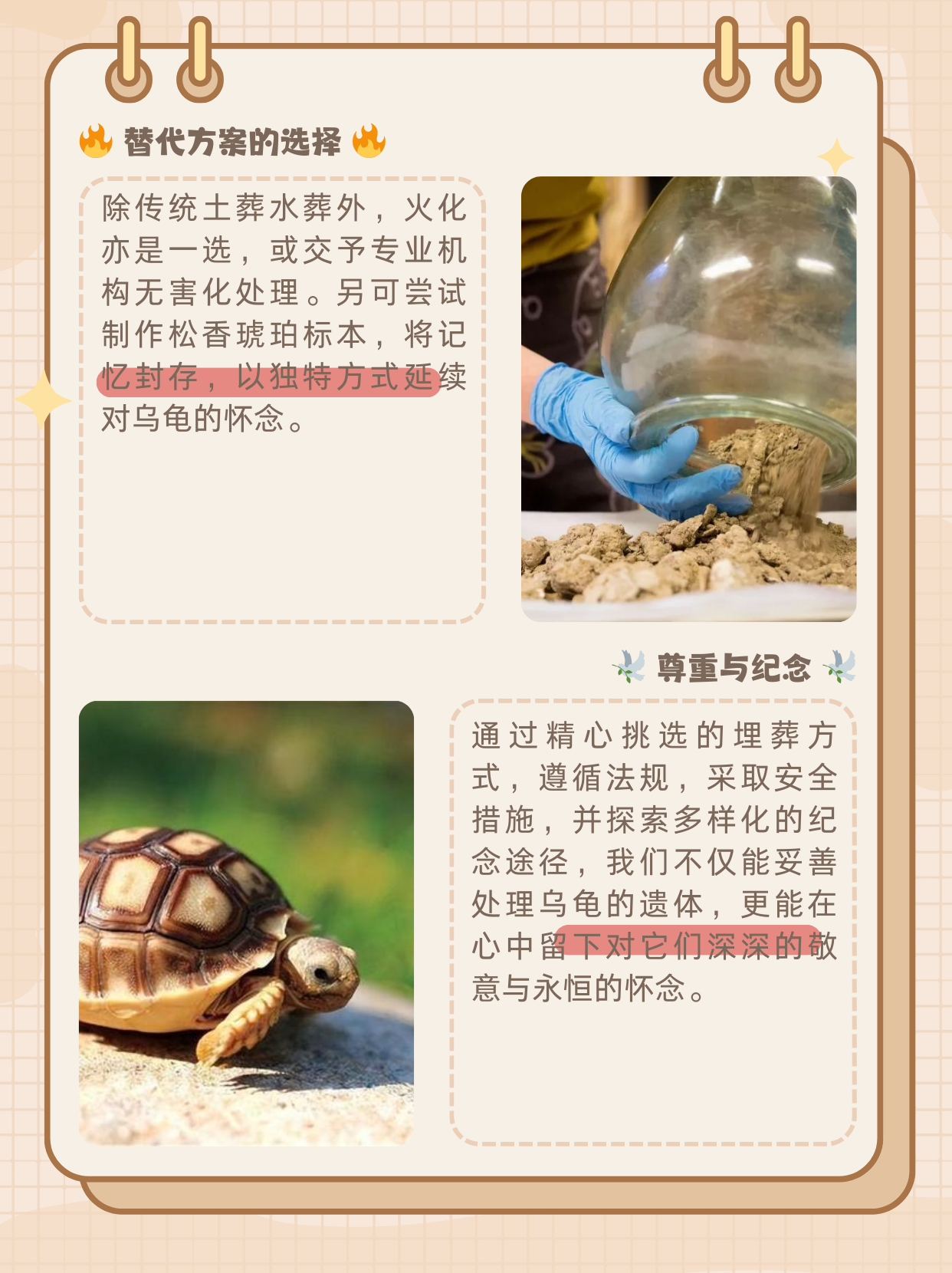 乌龟死了最佳处理方法