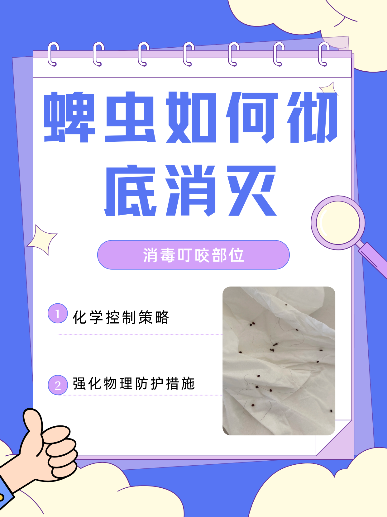 这些杀虫剂可以喷洒或者喷涂在可能藏有蜱虫的区域,如草地,树林,灌木