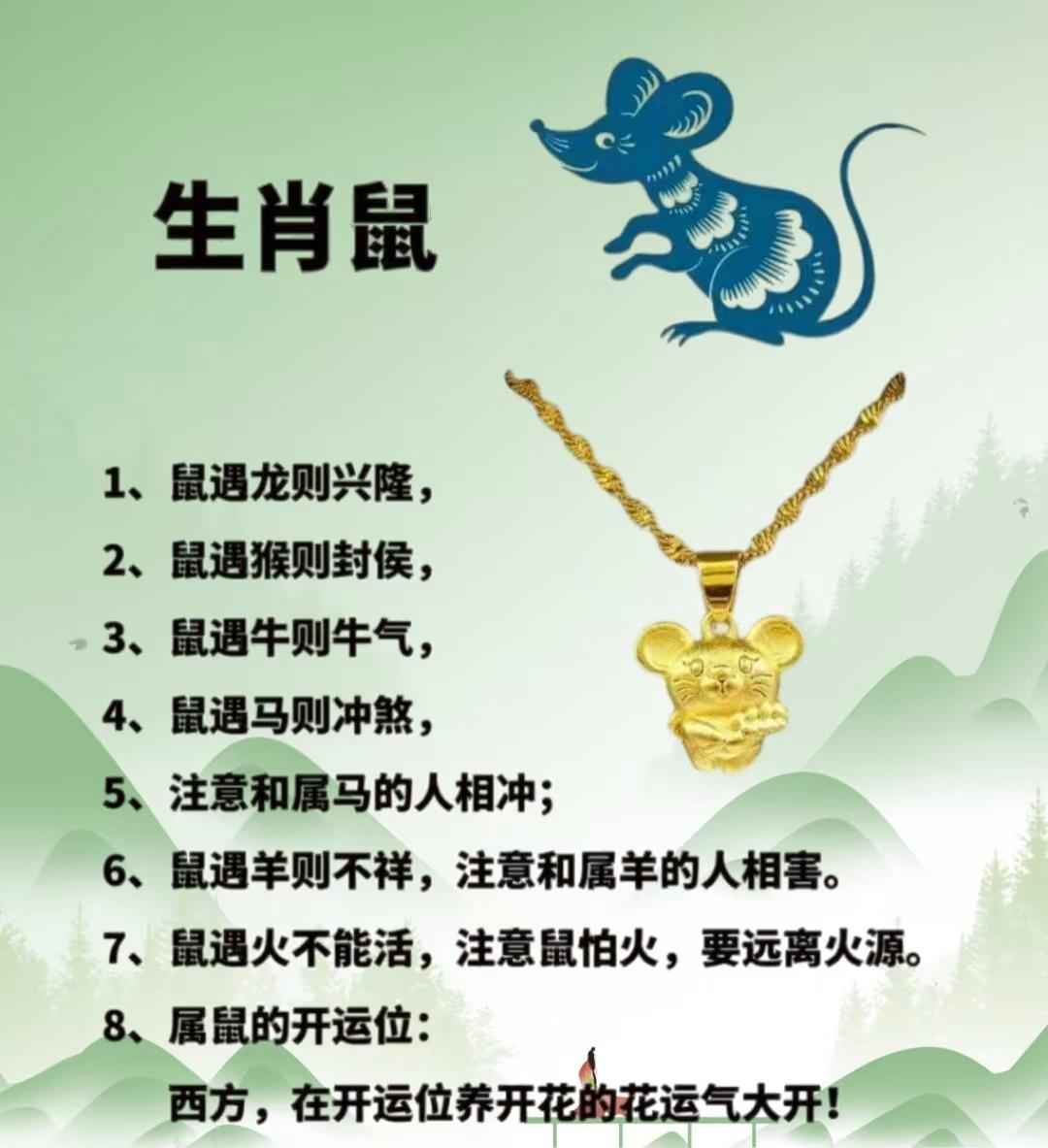 今年生肖鼠运势大解析(鼠属相今年运势)