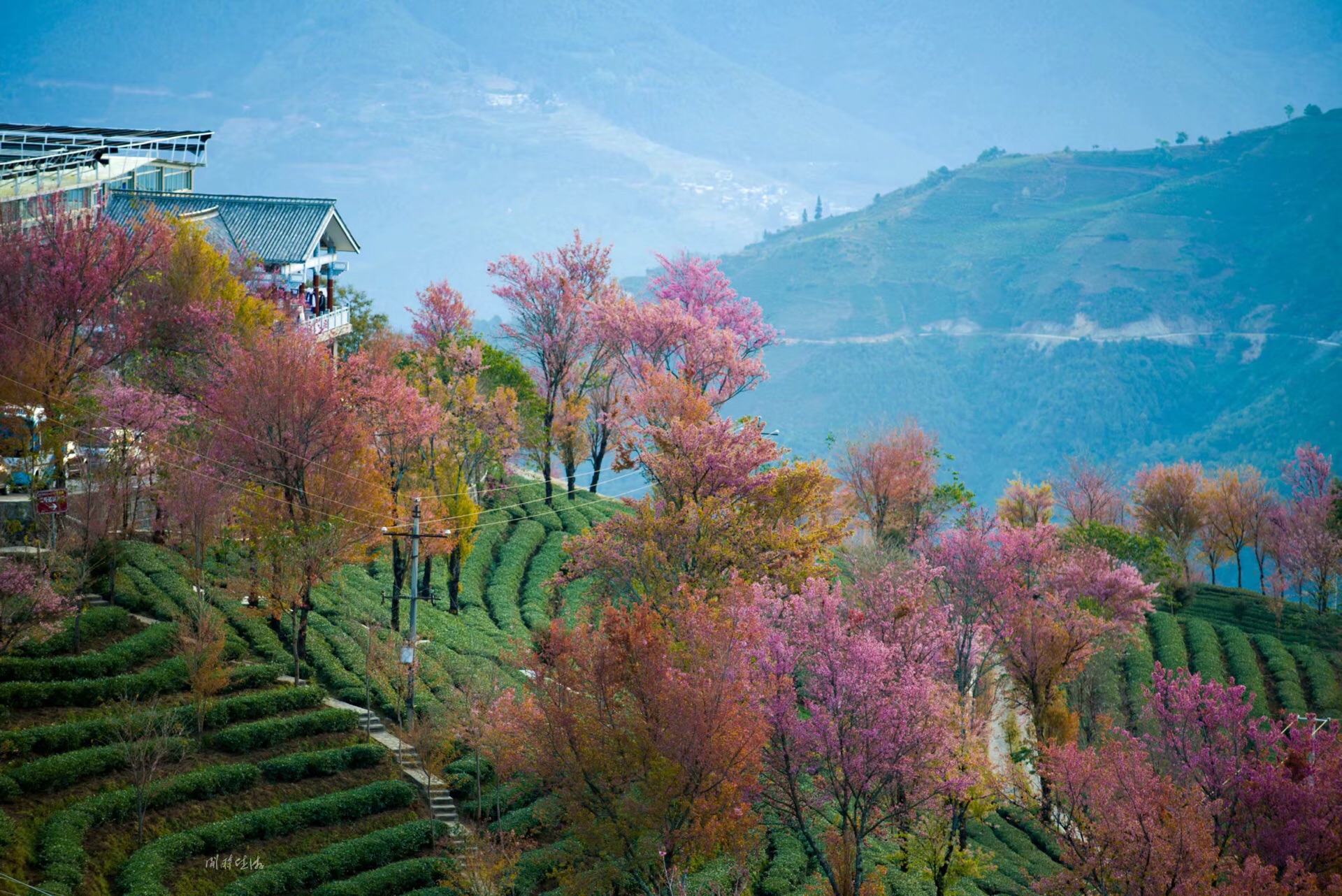 大理南涧县旅游景点图片