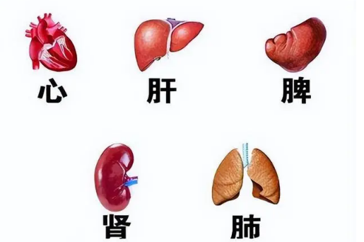 五脏俱虚?一剂秘方,全面滋补心肝脾肺肾,真相令人意外!