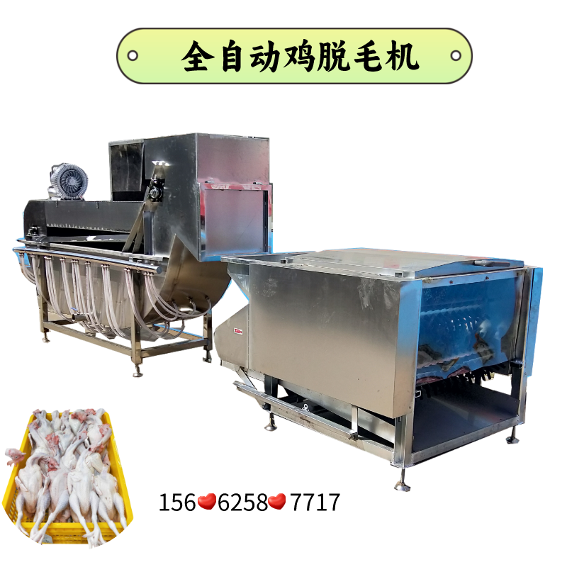 全自动杀鸡脱毛机