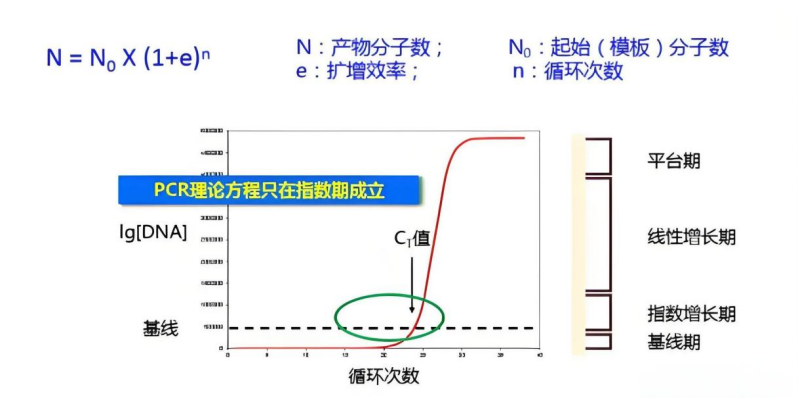 什么是实时荧光定量pcr实验中的阈值?