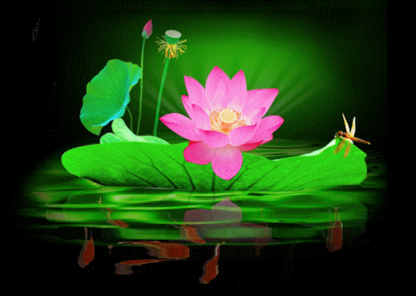 乐极忘归王母晓,怒而莲座打入凡. 陷于湖底污泥染,化作清荷俗世妍.