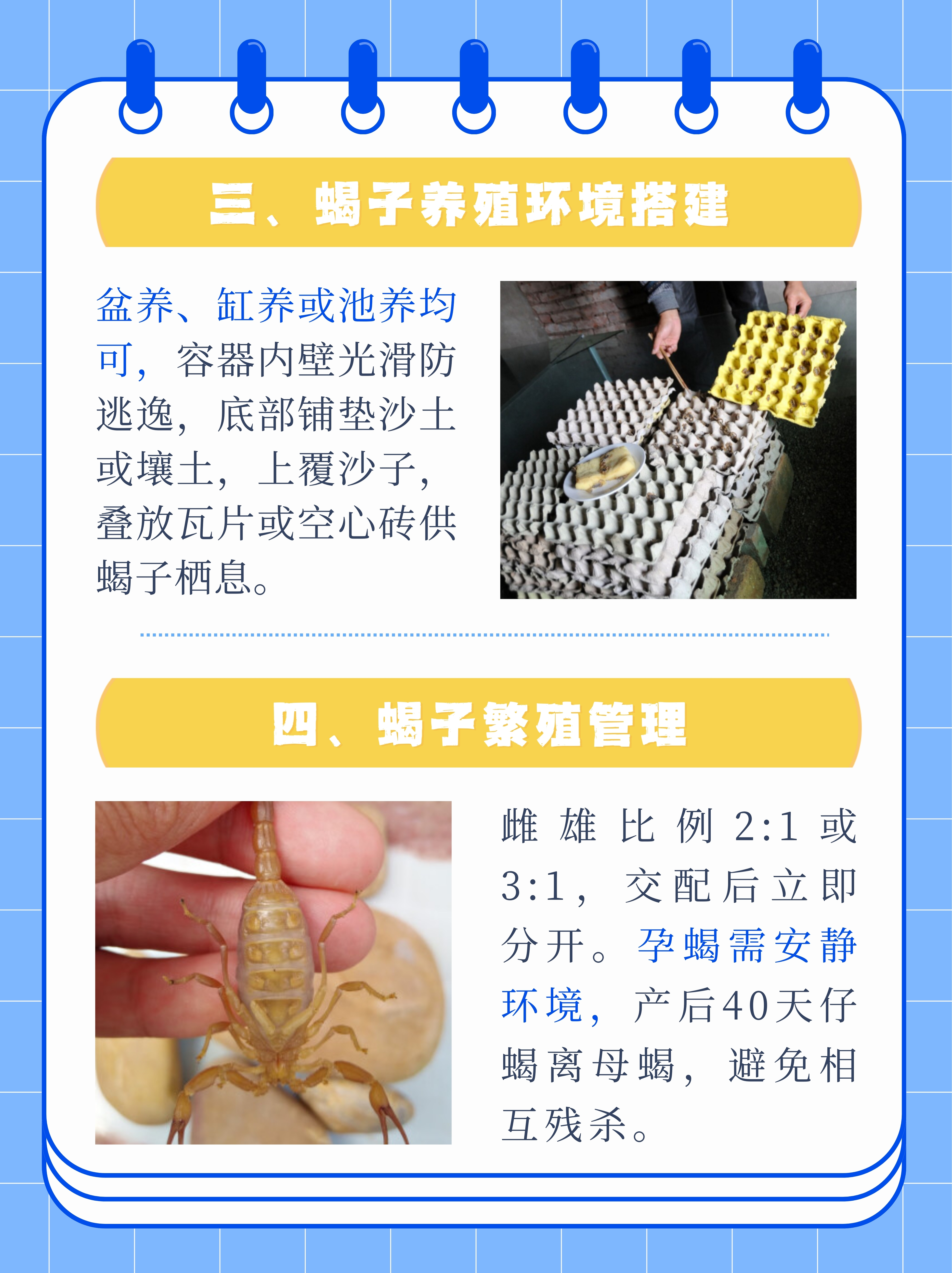 蝎子怎么在家里养殖