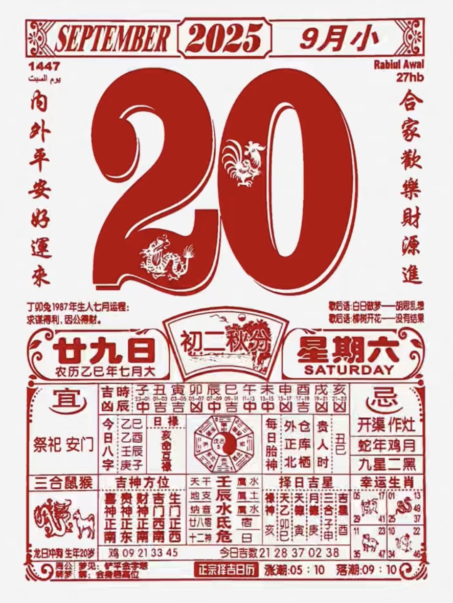 狗2025生肖年运势(属狗2025年运势及运程每月运程狗)