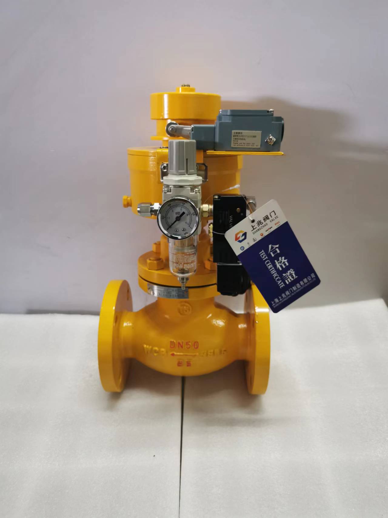 液氨电磁动紧急切断阀