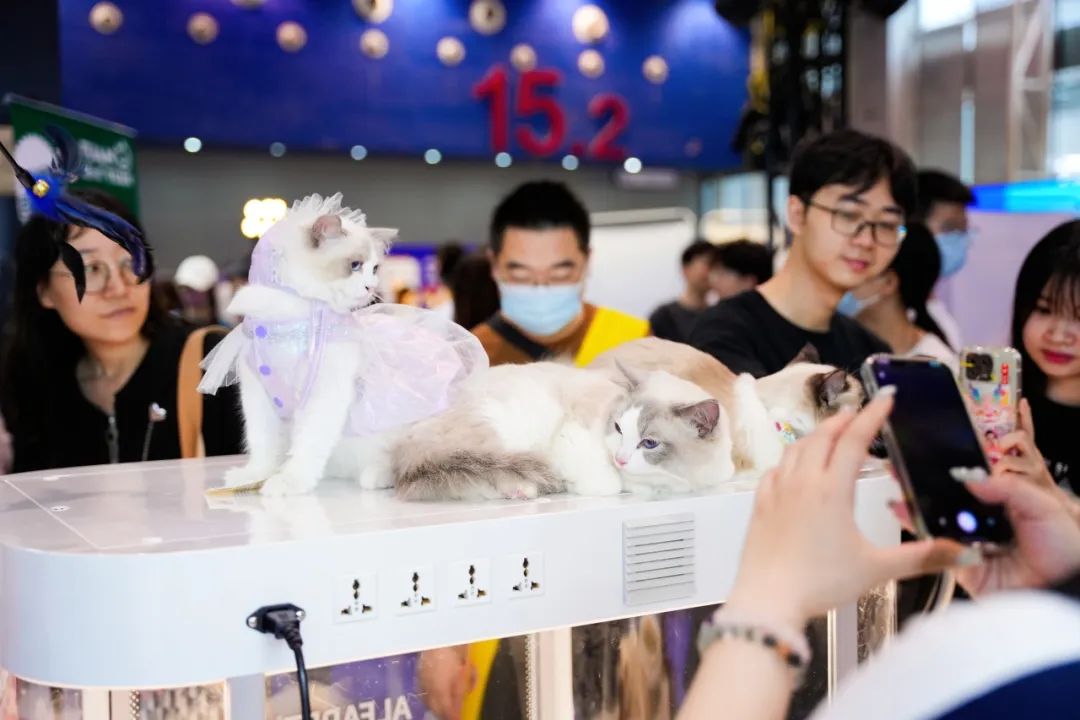 潮宠展再添新展，福州宠物展将于10月盛装亮相！