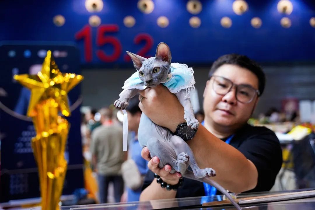 潮宠展再添新展，福州宠物展将于10月盛装亮相！