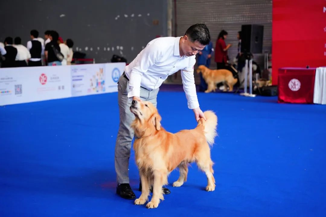 潮宠展再添新展，福州宠物展将于10月盛装亮相！