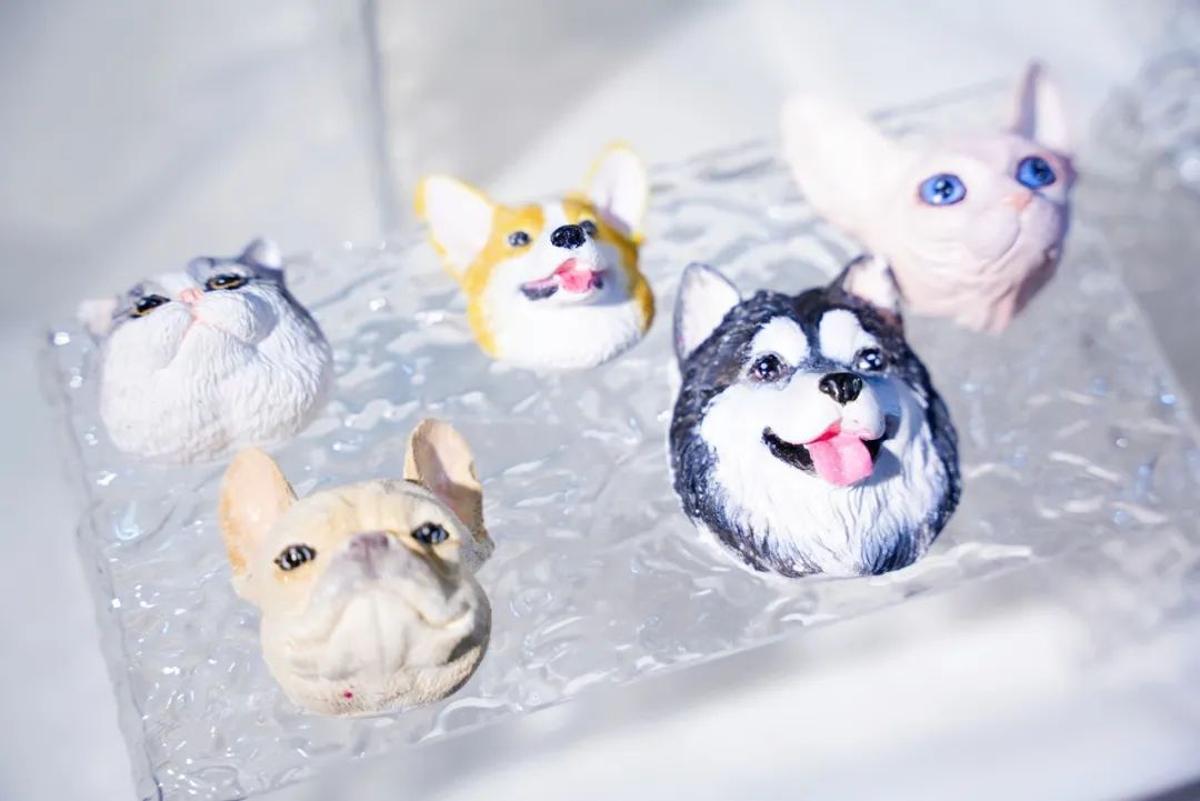 潮宠展再添新展，福州宠物展将于10月盛装亮相！