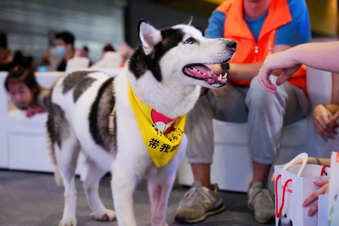 潮宠展再添新展，福州宠物展将于10月盛装亮相！