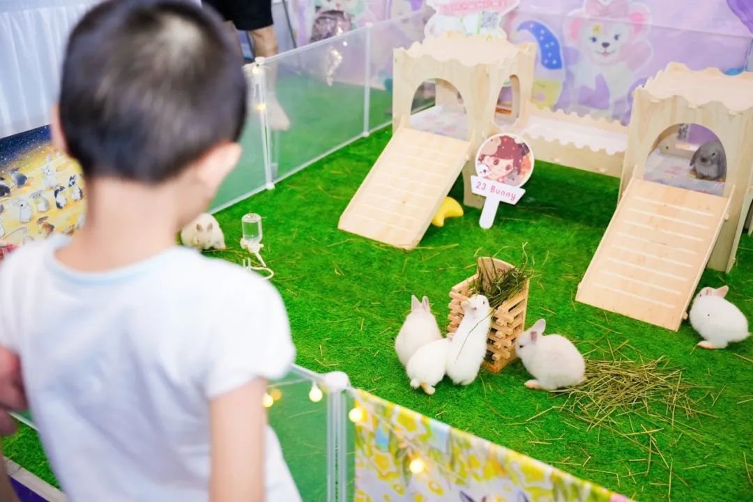 潮宠展再添新展，福州宠物展将于10月盛装亮相！