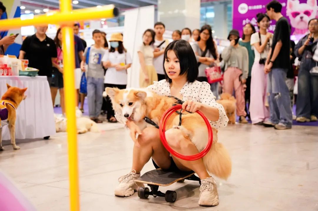 潮宠展再添新展，福州宠物展将于10月盛装亮相！