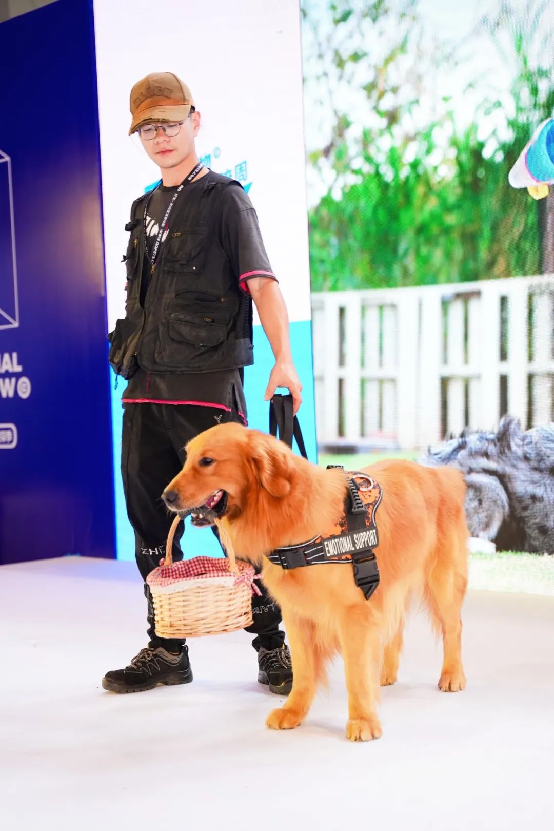 潮宠展再添新展，福州宠物展将于10月盛装亮相！