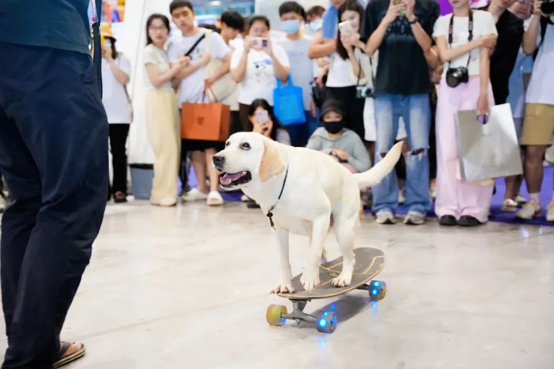 潮宠展再添新展，福州宠物展将于10月盛装亮相！