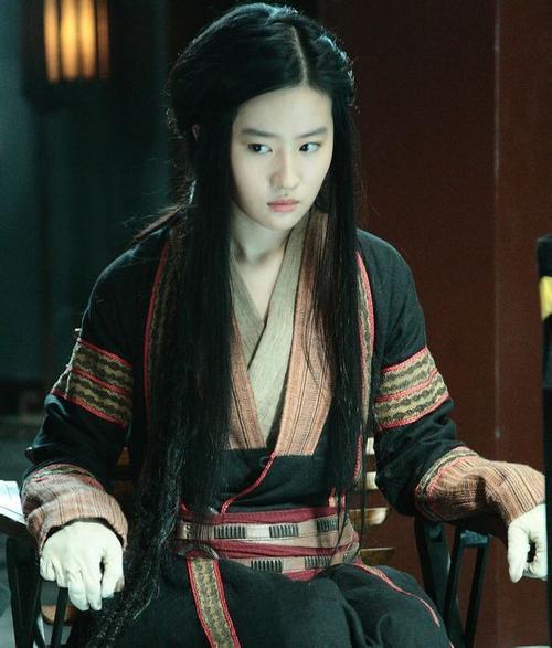 "四大名捕"无情,铁手,追命,冷血简介及综合实力排名