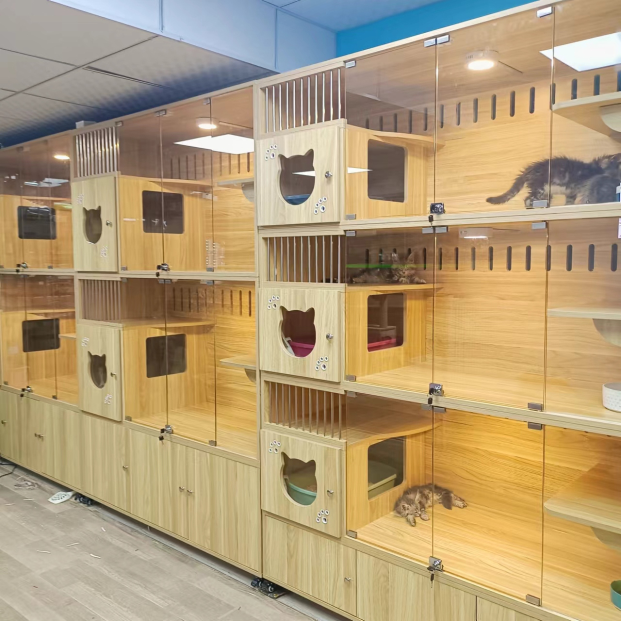 猫别墅宠物店猫展示笼猫繁育笼