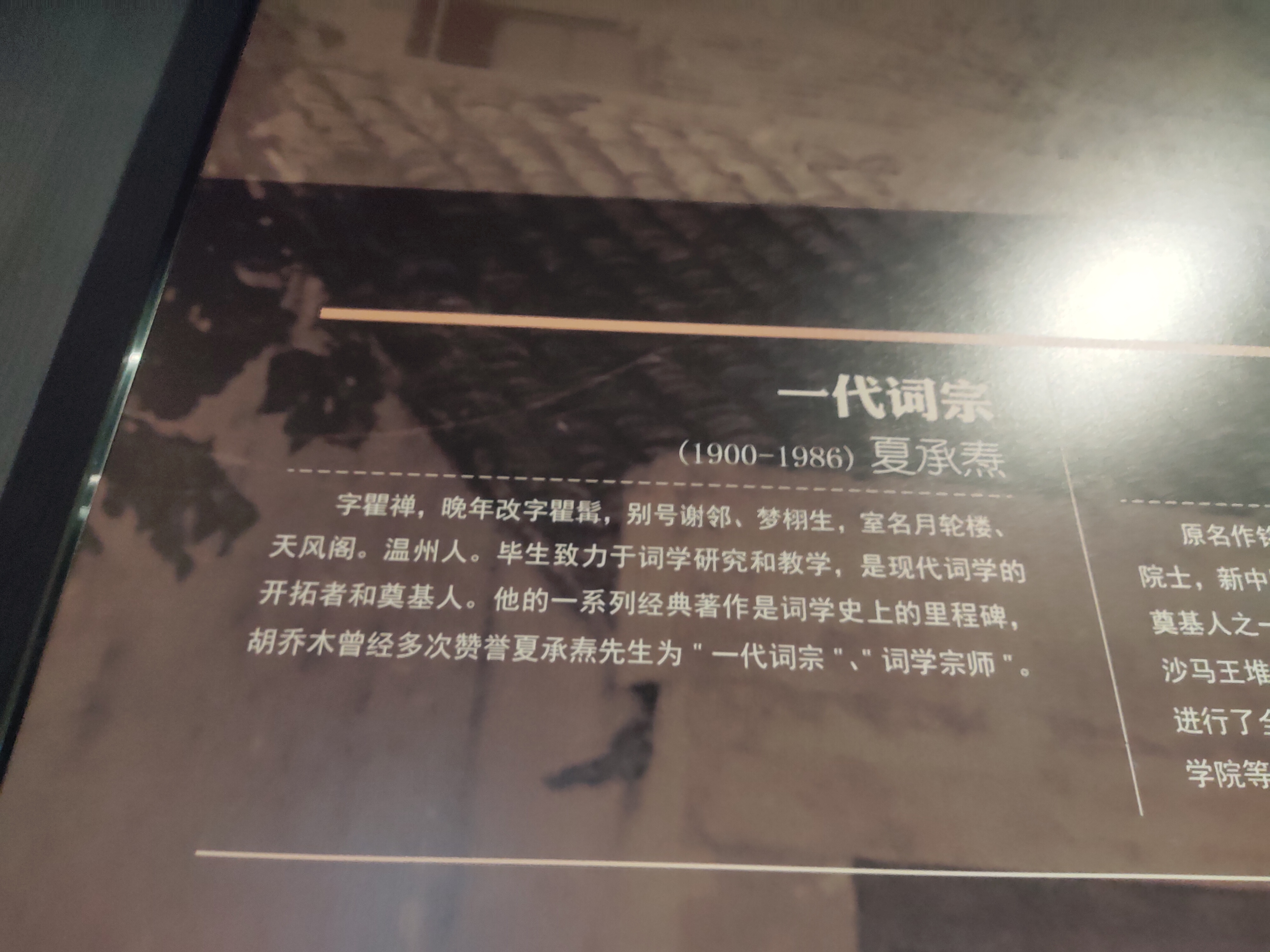 温州暑期的免费亲子游好去处——温州博物馆
