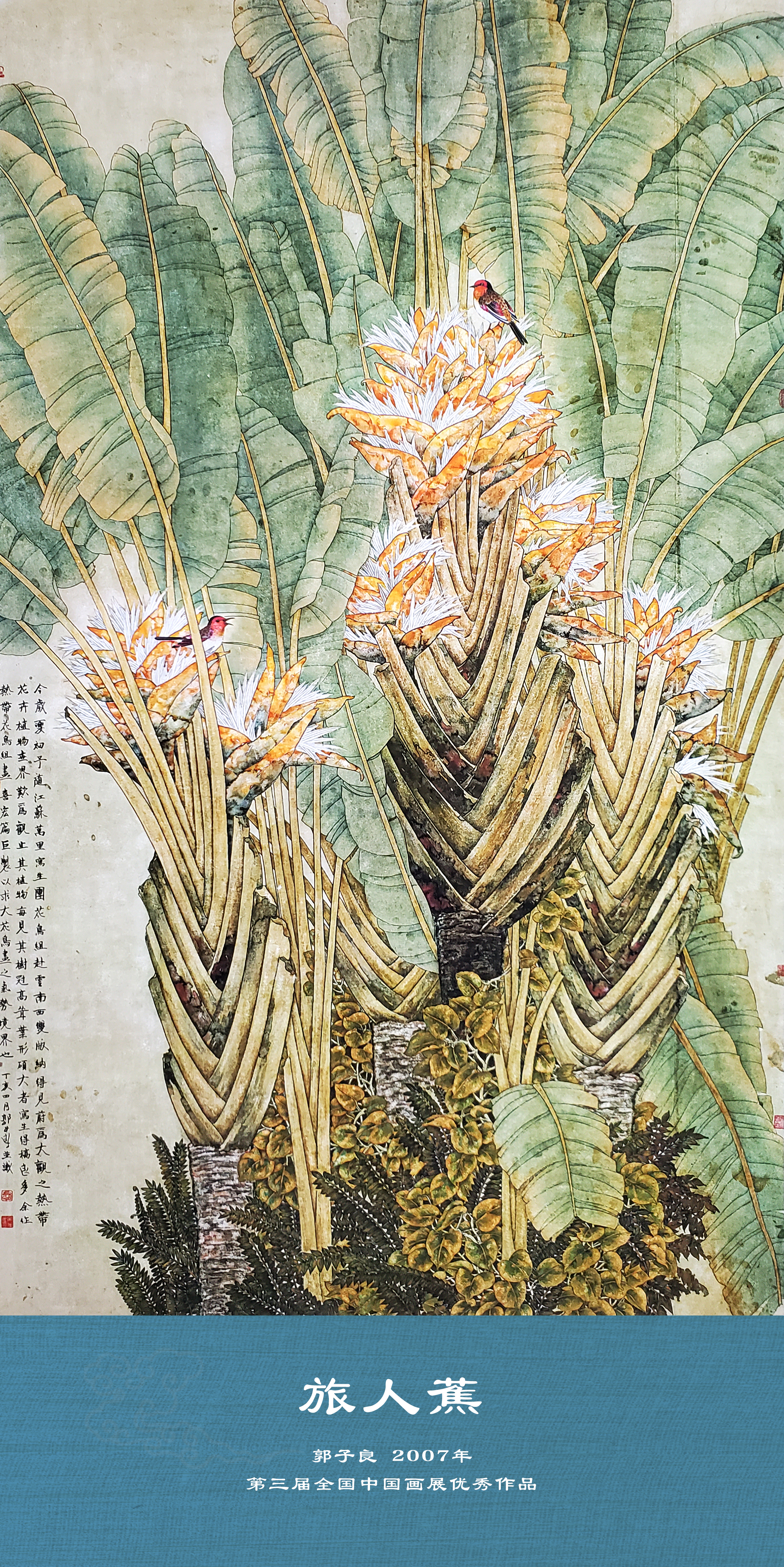 中国国家画院|雨林之魅——郭子良作品展选登(一)