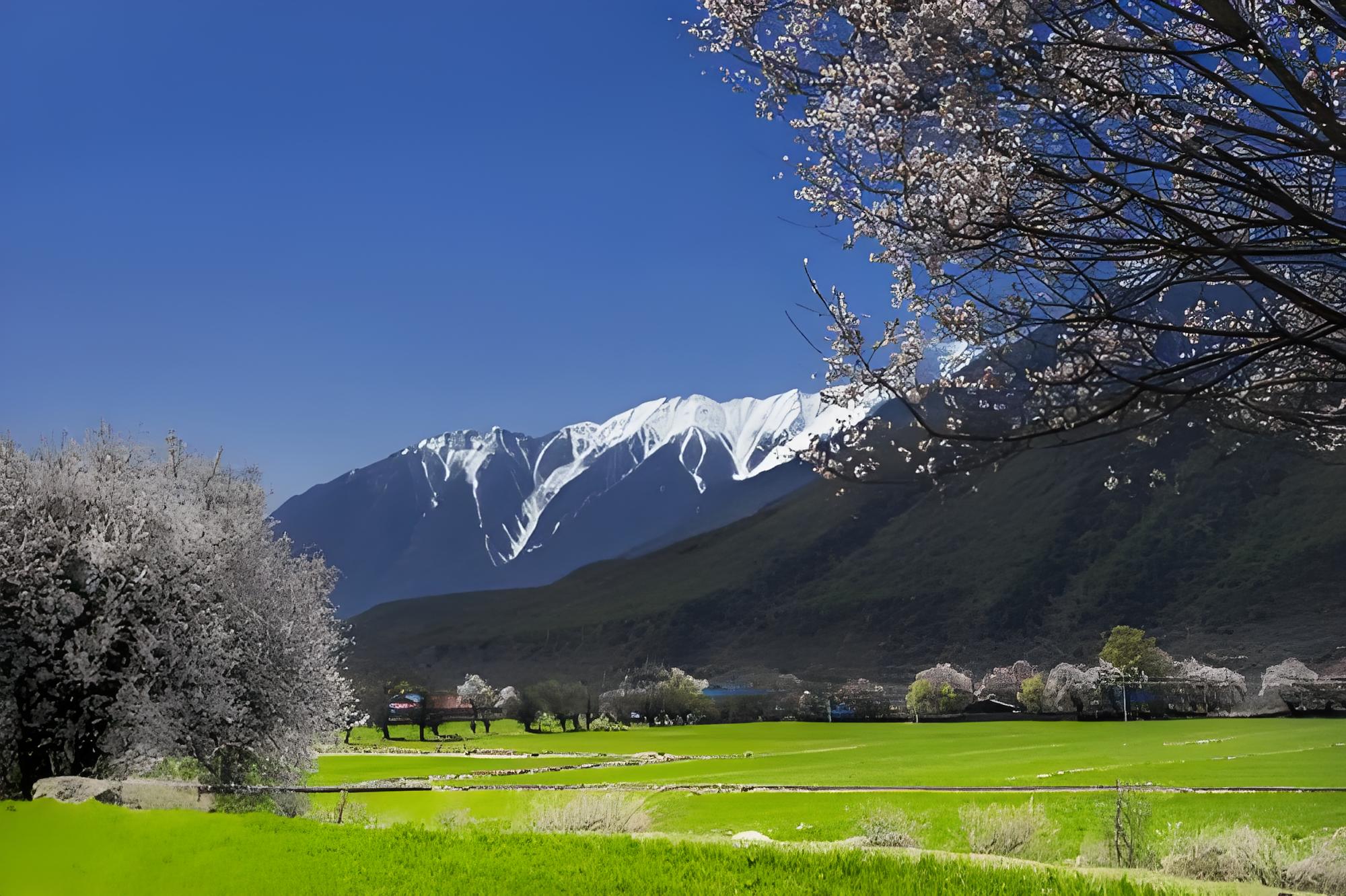 旅行见闻:探寻世界的美丽风景