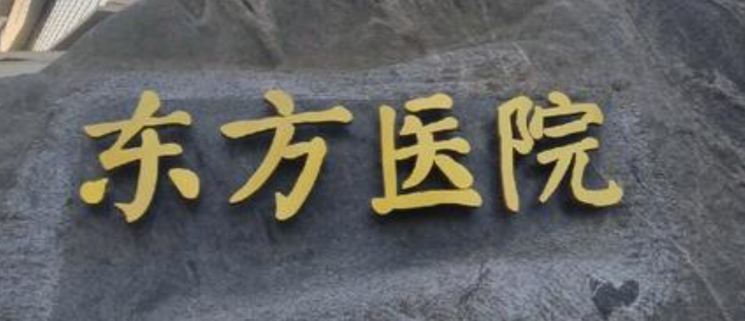 包含东方医院代挂专家号加代问诊就医费用逐项核对，花得清楚明白的词条