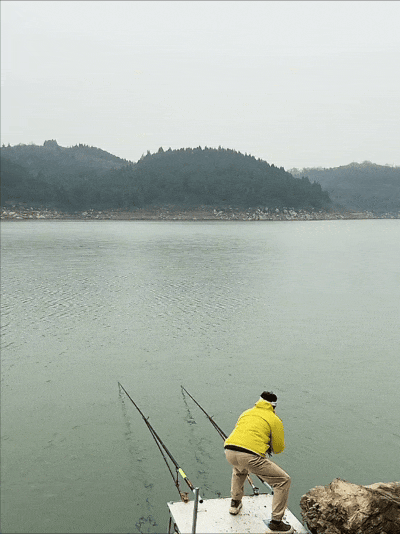 400_534竖版 竖屏gif 动态图 动图