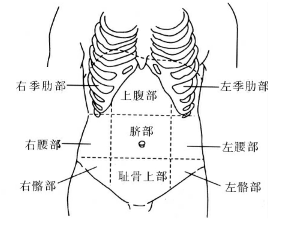 胆囊疼还是胃疼?一张"腹部地图,让你看明白!