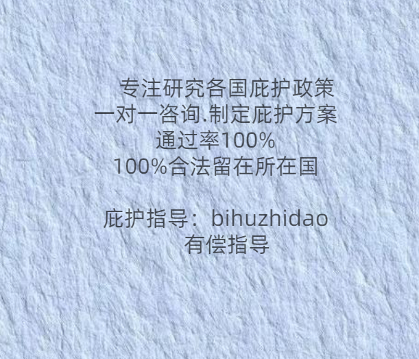 庇护申请书怎么写啊版的范文图片大全高清(庇护权是什么意思)