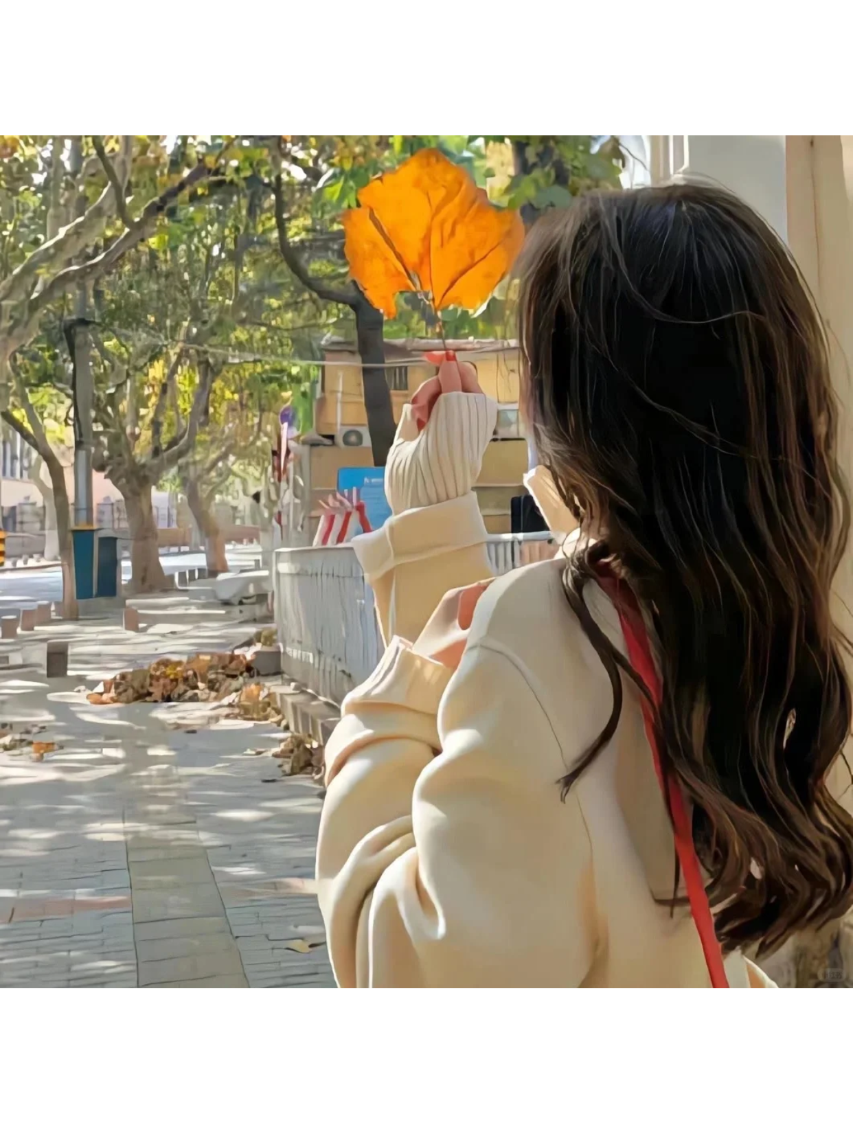 女生头像背影不露脸