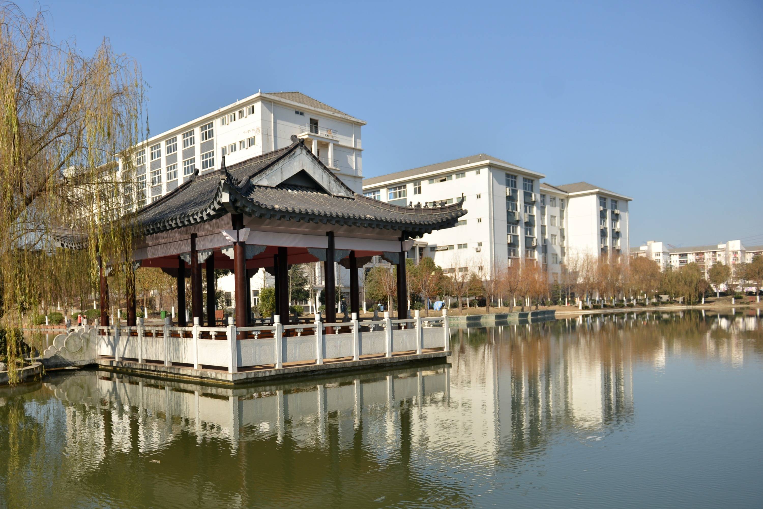 宿州电子技术专业,为你打开新世界的大门!