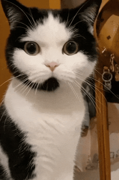 400_604竖版 竖屏gif 动态图 动图