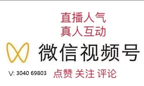 真人粉丝在线下单软件(真人粉丝在线下单软件叫什么)