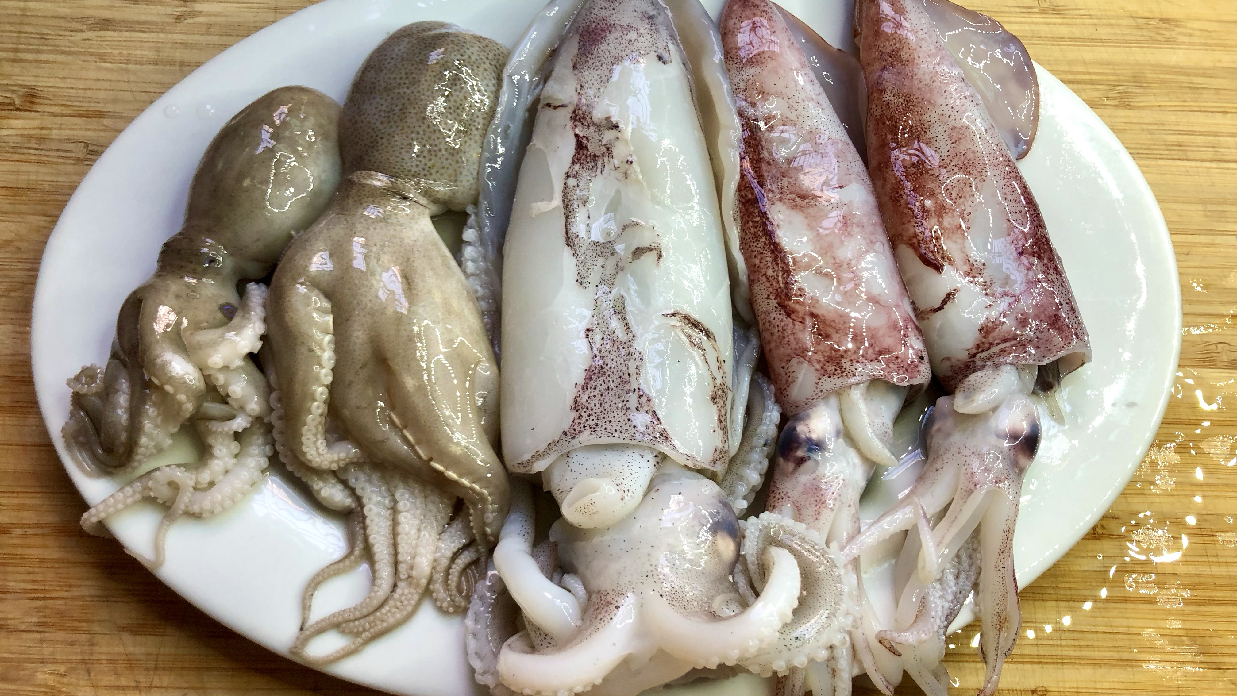 买了八爪鱼，软丝，鱿鱼做一道潮汕家常菜，4分钟出锅