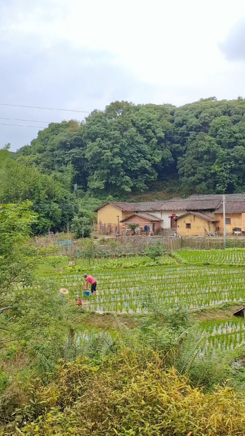 这就是真实农村人的生活场景,在网上看多了高品质生活,人们渐渐忘了