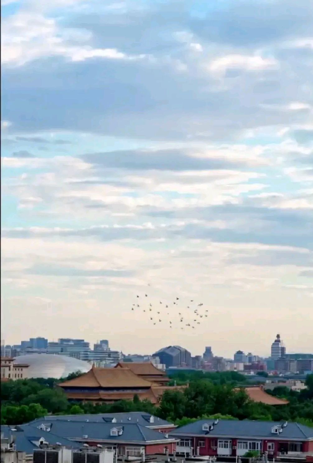 这是王艳家的后花园吗?