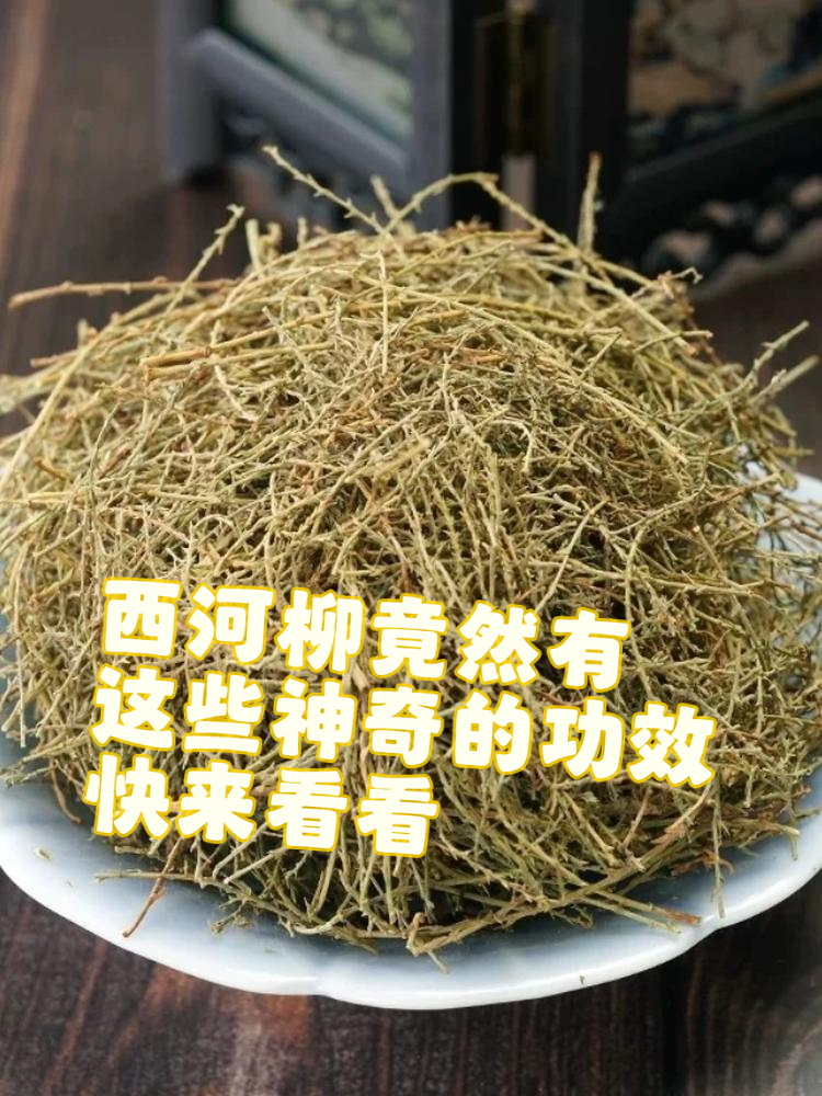 西杨柳中药老人说去伏子要药材洗一种药材叫西河柳树西河柳图片西河柳